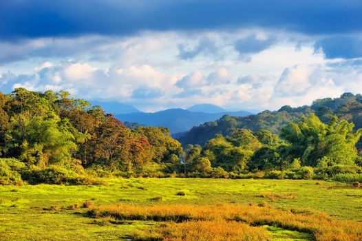 Resplendent landscape against the backdrop of blue mountains in southern India