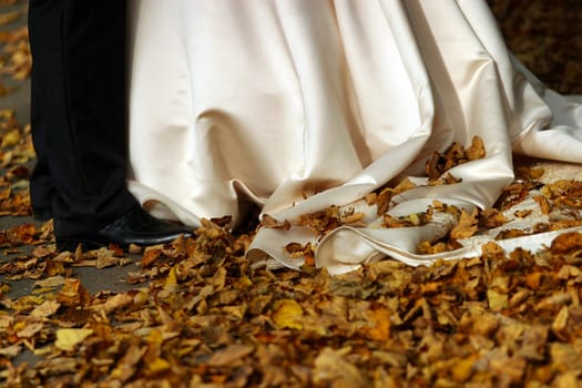 The image of legs of the bride and the groom, on a hem of a atlas dress yellow foliage