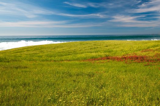 Green field with an amazing view of the beach on the background