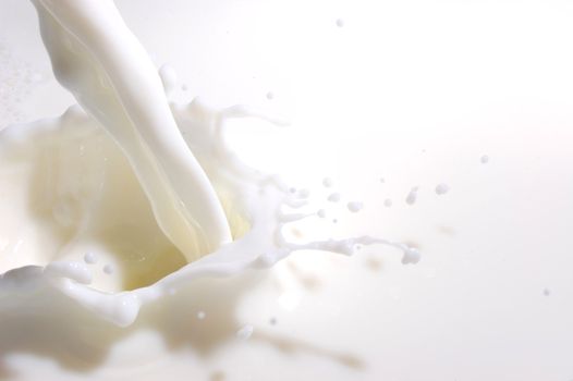 milk splashes with many drops into fresh milk