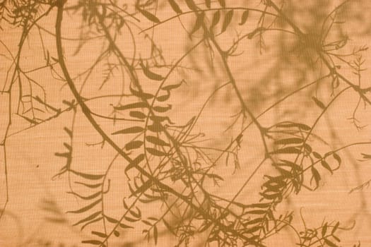 Foliage shadows on brown sunshade at sunny summer day