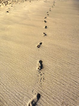 Human footprints in some nice warm beach sand.  