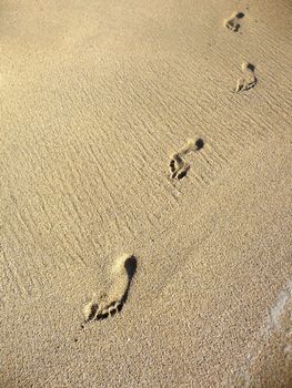 Human footprints in some nice warm beach sand.  