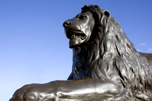 Close up of one of the bronze lions at Trafalgar Square, London, England.