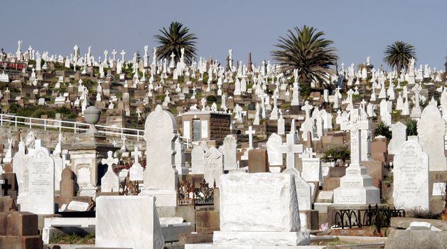 Old Large Cemetery With Many Graves and Gravestones During Daylight In Sydney Australia