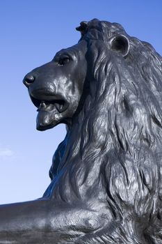 Close up of one of the bronze lions at Trafalgar Square, London, England.