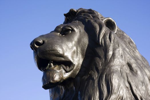 Close up of a bronze lion head at Trafalger Square, London, England