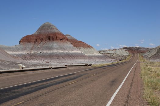 Road through Petrified Forest National Park