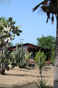Old Mexican Hacienda