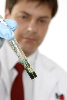 A  swab containing suspected blood  is mixed with a two vials.   If blood is present on the swab the solutions will immediately turn a blue green as shown here. (Leucomalachite green test aka LMG)