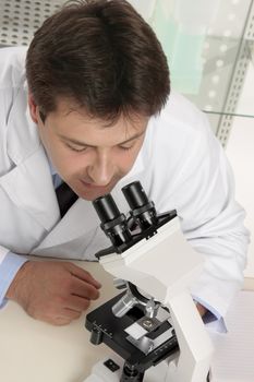 A research scientist looking through a stereo microscope to view a prepared slide.