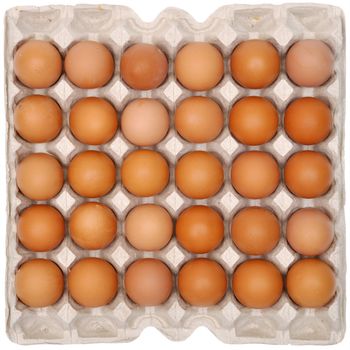  Eggs in protective packaging on a white background