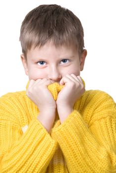 Smiling boy in yellow striped sweater against white background