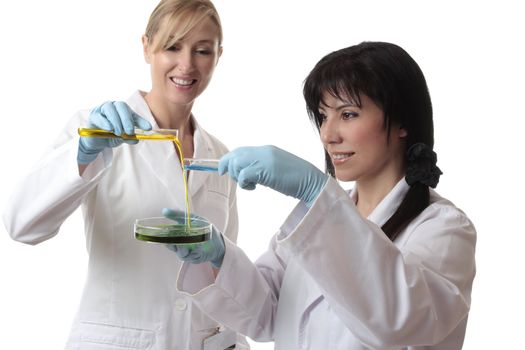 Two happy females conduct clinical, medical  or scientific research using laboratory equipment.