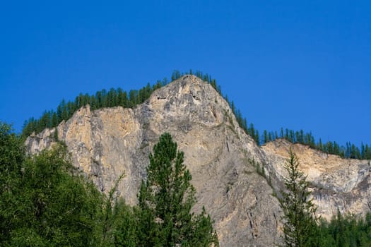 Mountain panorama: sky, rock and forest 
