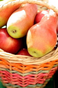 Ripe fresh pears in a basket, background