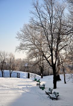 lonely benches covered in deep snow in front of trees. Winter photo.