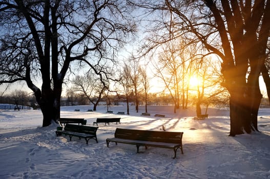 lonely benches covered in deep snow in front of trees Winter Russia Suzdal