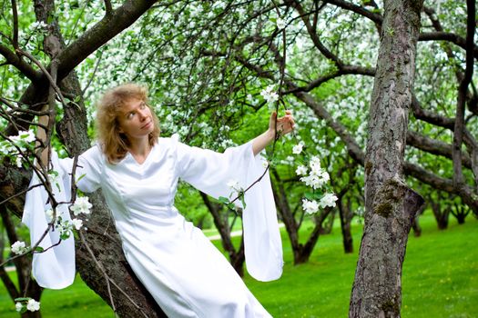 The blonde girl in white dress sittng on apple-tree with white flowers
