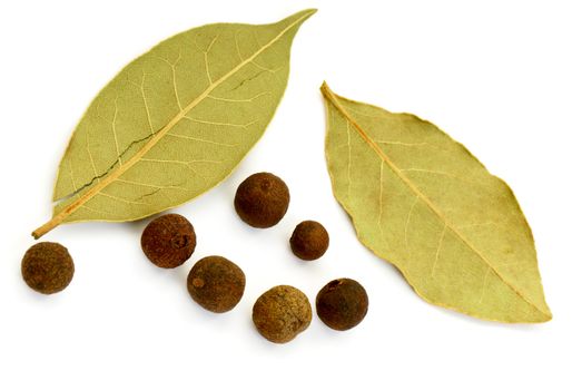 Spices on white background.  Bay leaves and fragrant pepper