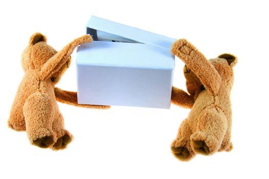teddybears with blue box on white background