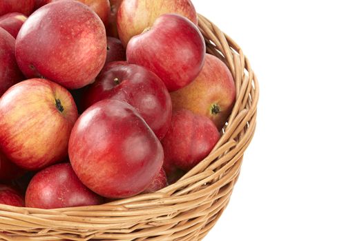 Harvesting. A basket with red ripe apples.
