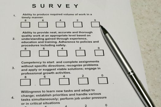 Performance Survey for job promotion or merit increase