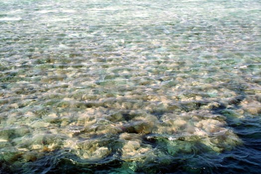 Flowing on a reef in Red sea near Hurgada, Egypt.