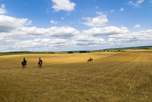 Wide angle photo: three girls riding their horses on a stubble field.