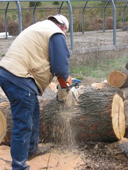 professional wood cutter sawing log for firewood