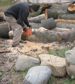 unidentifiable professional wood cutter sawing log with chainsaw for firewood