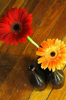 Red and Orange Flowers in Wine Bottles