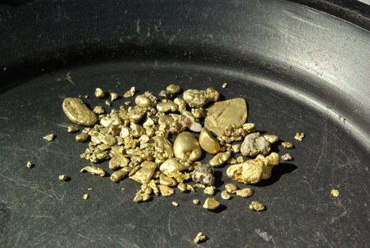 Gold nuggets, flakes and dust mined from the creeks and rivers of california