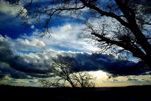 Bare branches silhouetted against a post storm sunset