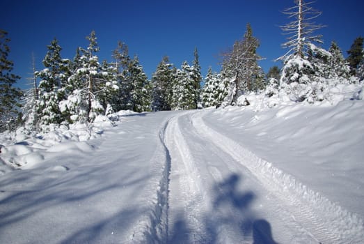 Tire tracks in fresh snow on an empty mountain trail