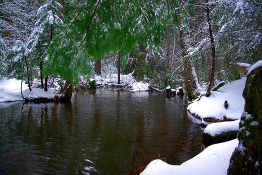 A mountain pond in the winter time surrounded by fresh snow