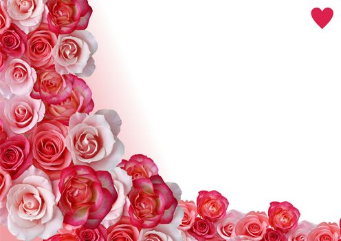 Abstract border, flowers, white and rose background