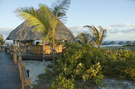 a palapa bar by the beach at a tropical resort