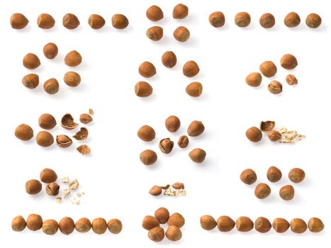 Set of hazelnuts shots on  white background.