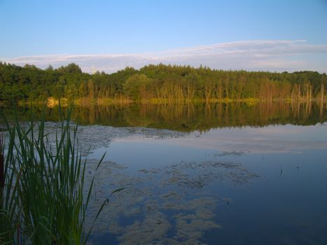 the lake in the autumn