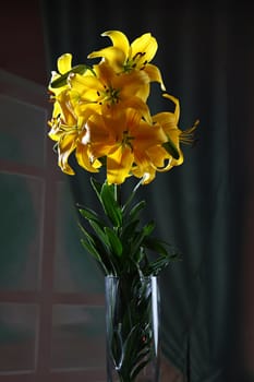 Colorful lily in vase on dark background