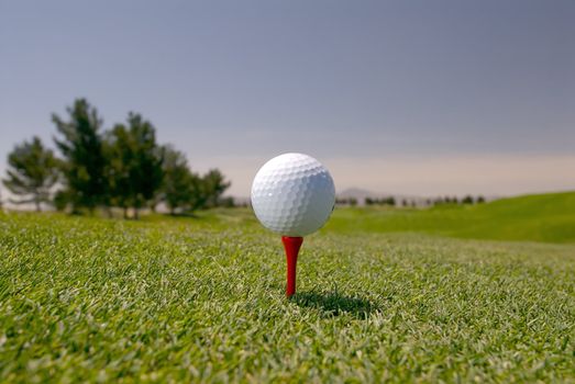 Image of a white golf ball on a red tee