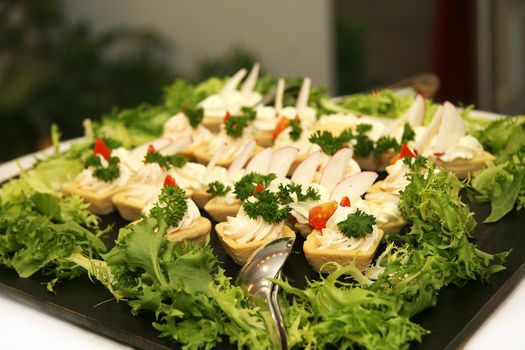 fresh mixed salad with tomatoes