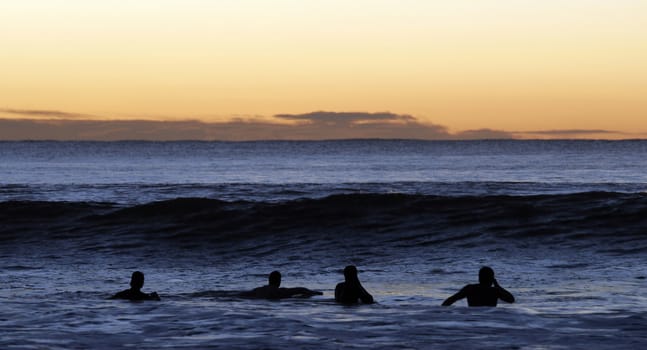 Surfers Paddling Out Into The Ocean, Sydney Sunrise Session, Australia