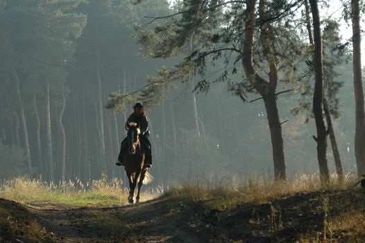 Cowboy with a horse, gallop