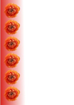 Vertical orange flower banner isolated on white background
