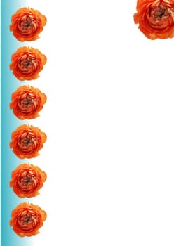 Vertical red flower banner isolated on white background