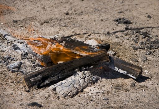 In the middle of the Australian bush, a campfire is burning.