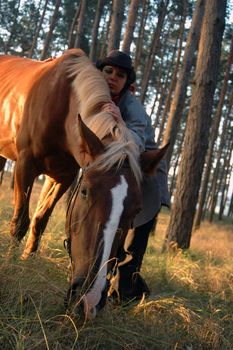 Horse with a cow-boy, close-up