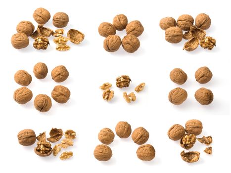 Collection of walnuts groups  with soft shadows over white background.